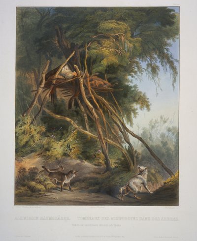 木の上のアシニボインインディアンの墓 作： Karl Bodmer